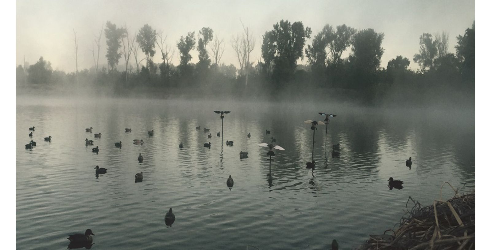 Access  Ithaca Catalogs